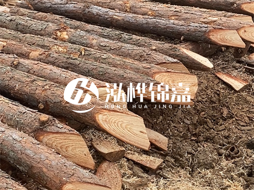 松木樁廠家泓樺錦嘉-河道兩邊打樁是干嘛的？