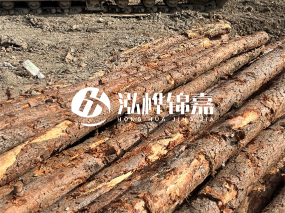 松木樁廠家泓樺錦嘉-原木松木樁的材質(zhì)是落葉松還是濕地松好？