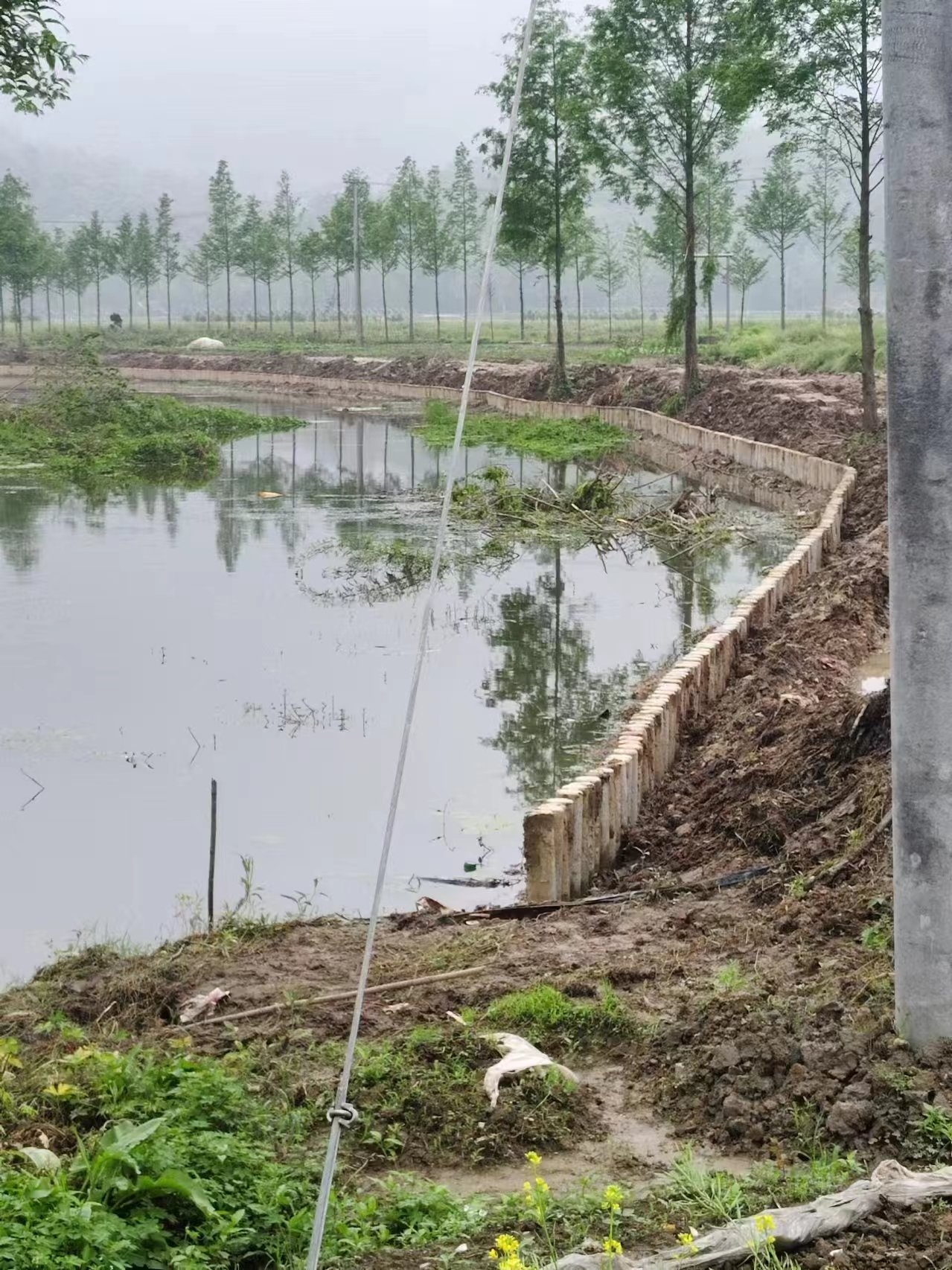 水泥仿木樁施工隊(duì)泓樺錦嘉 - 仿木樁施工多少錢(qián)一米？