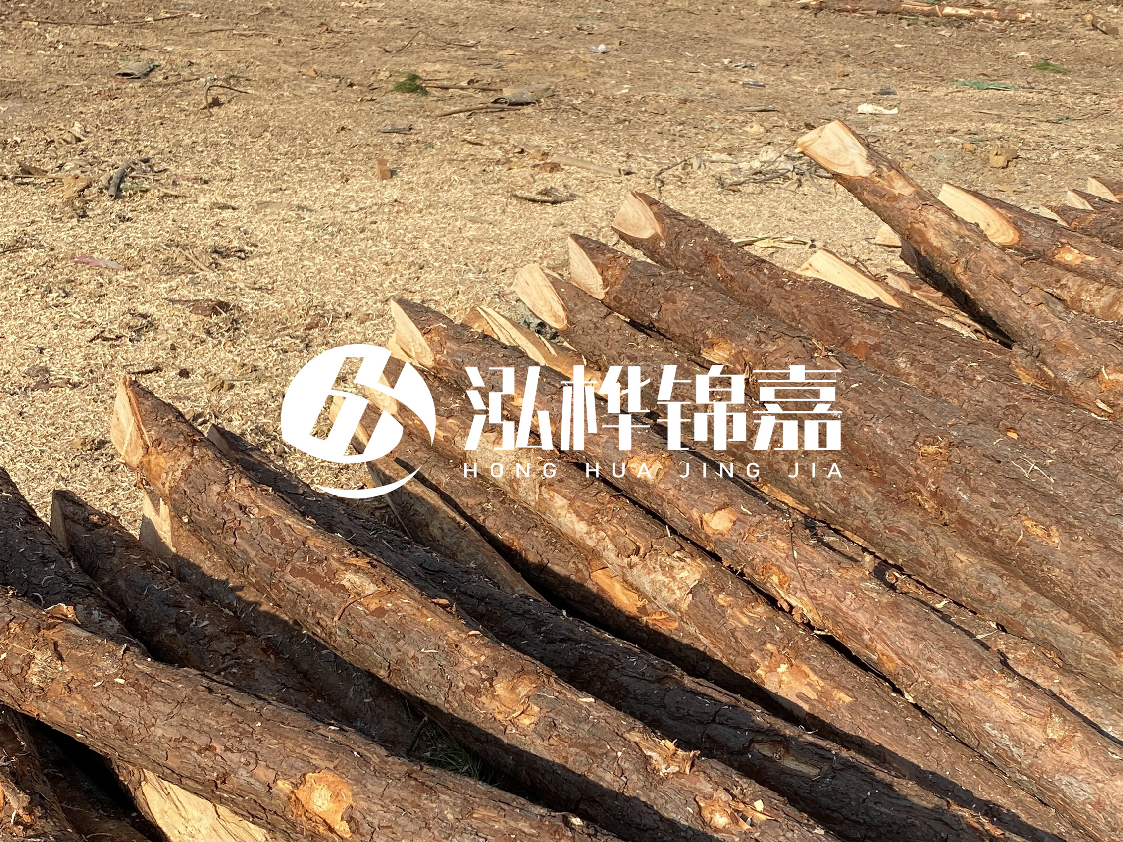 松木樁施工隊(duì)泓樺錦嘉 - 落葉松的直徑能達(dá)到20cm嗎？