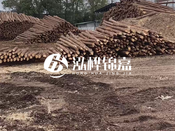 松木樁施工隊泓樺錦嘉-河道駁岸樁選擇松木還是水泥材質(zhì)更合適？