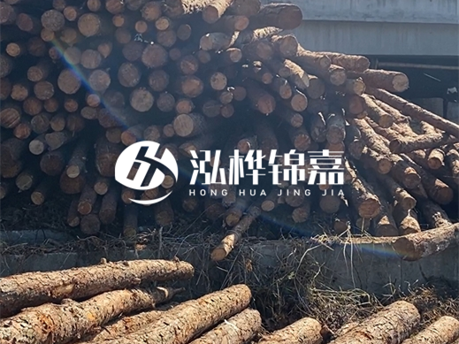 松木樁施工隊(duì)泓樺錦嘉 - 為什么要進(jìn)行河道護(hù)坡？